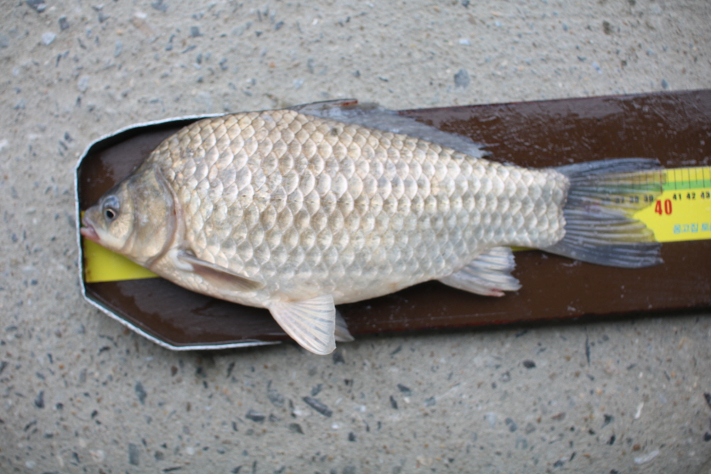 [ũ⺯ȯ]IMG_2820.JPG