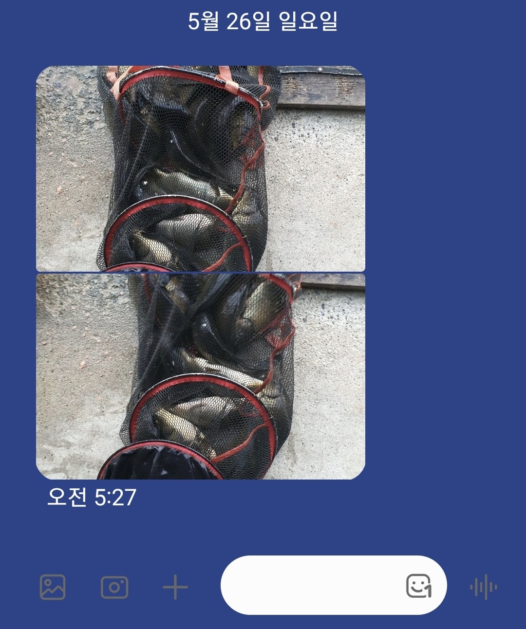 KakaoTalk_20240526_103620074.jpg