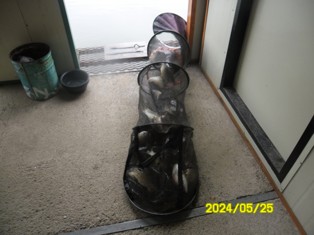 SAM_5173.JPG