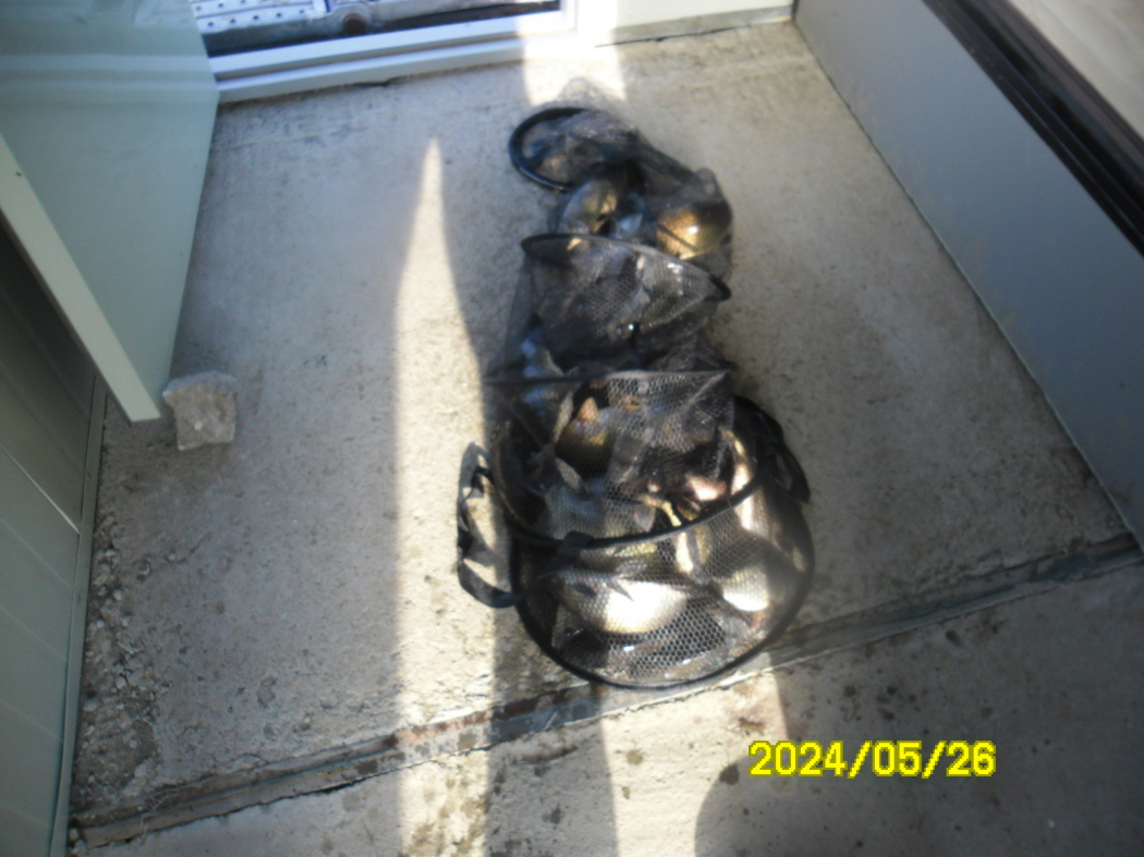 SAM_5204.JPG