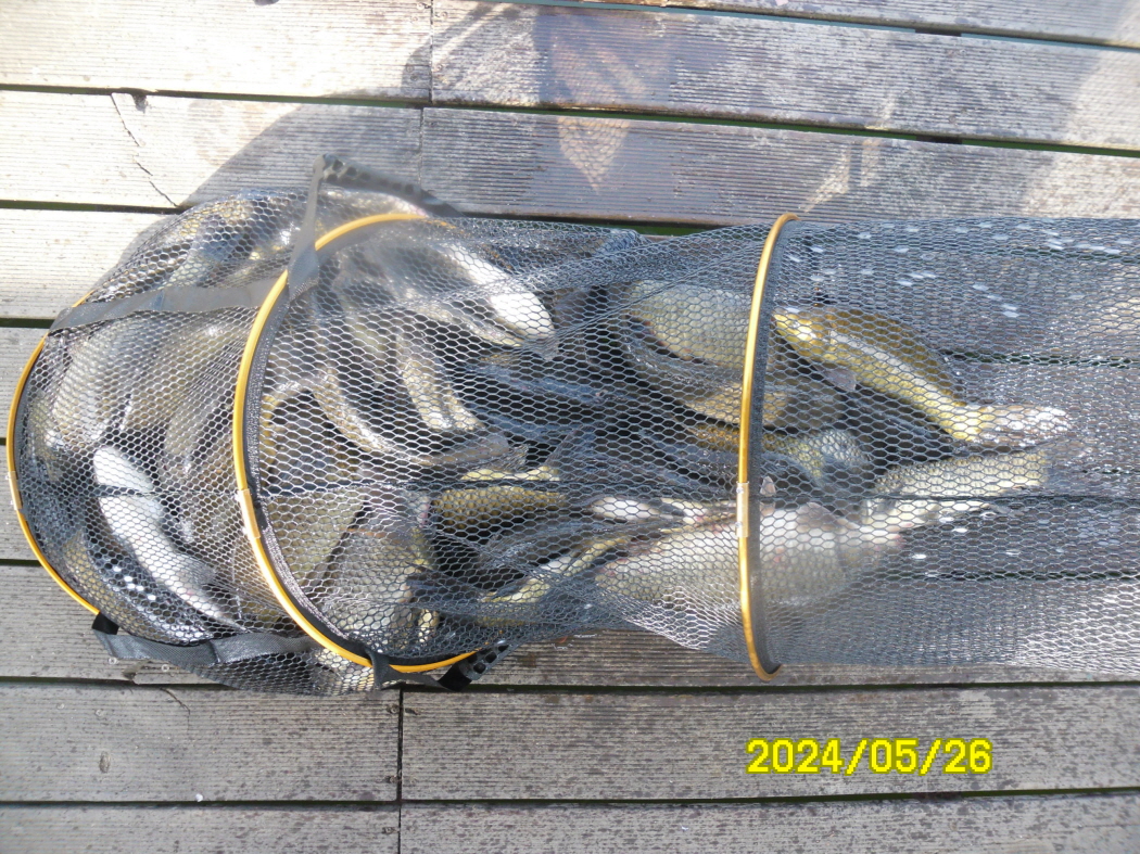 SAM_5229.JPG