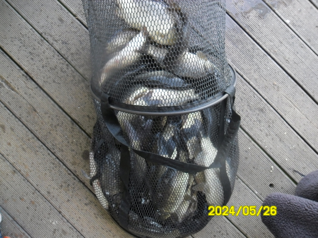 SAM_5246.JPG
