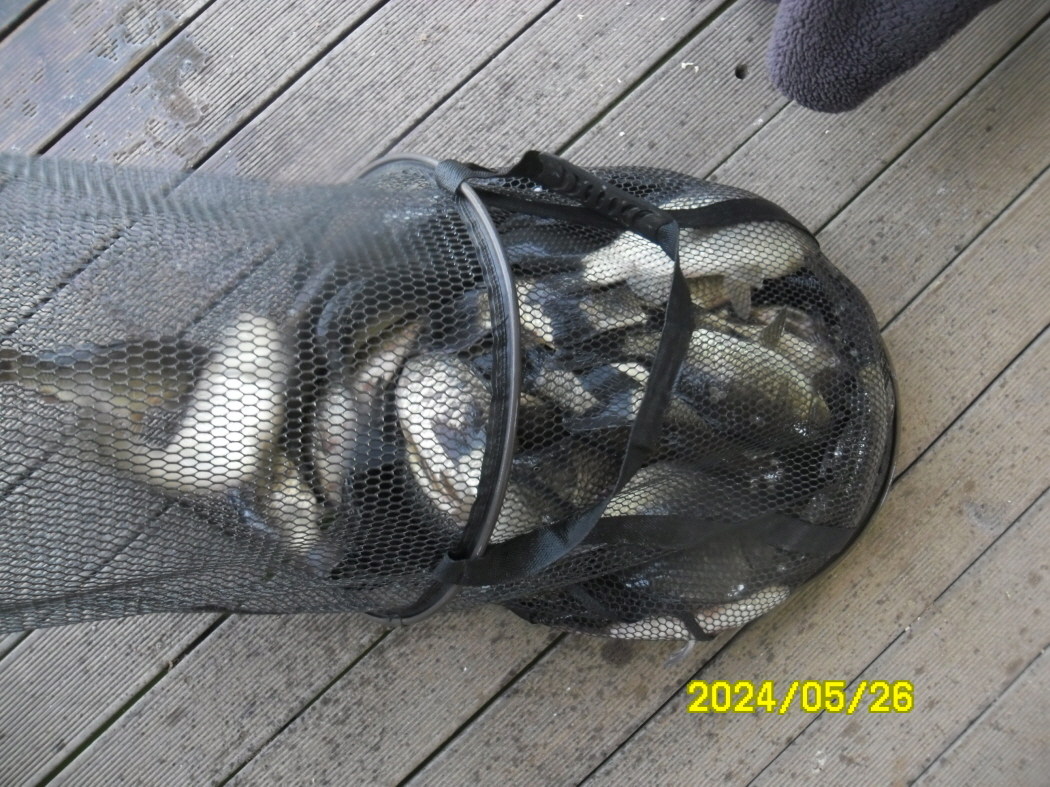 SAM_5245.JPG