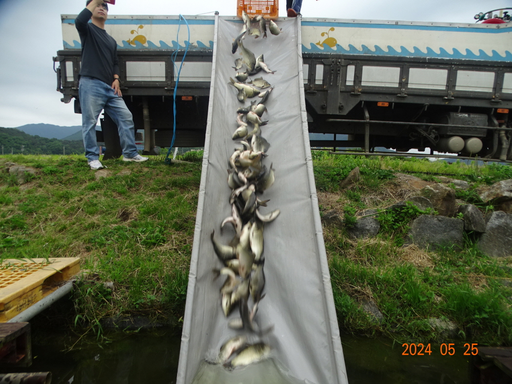 DSC01641.JPG