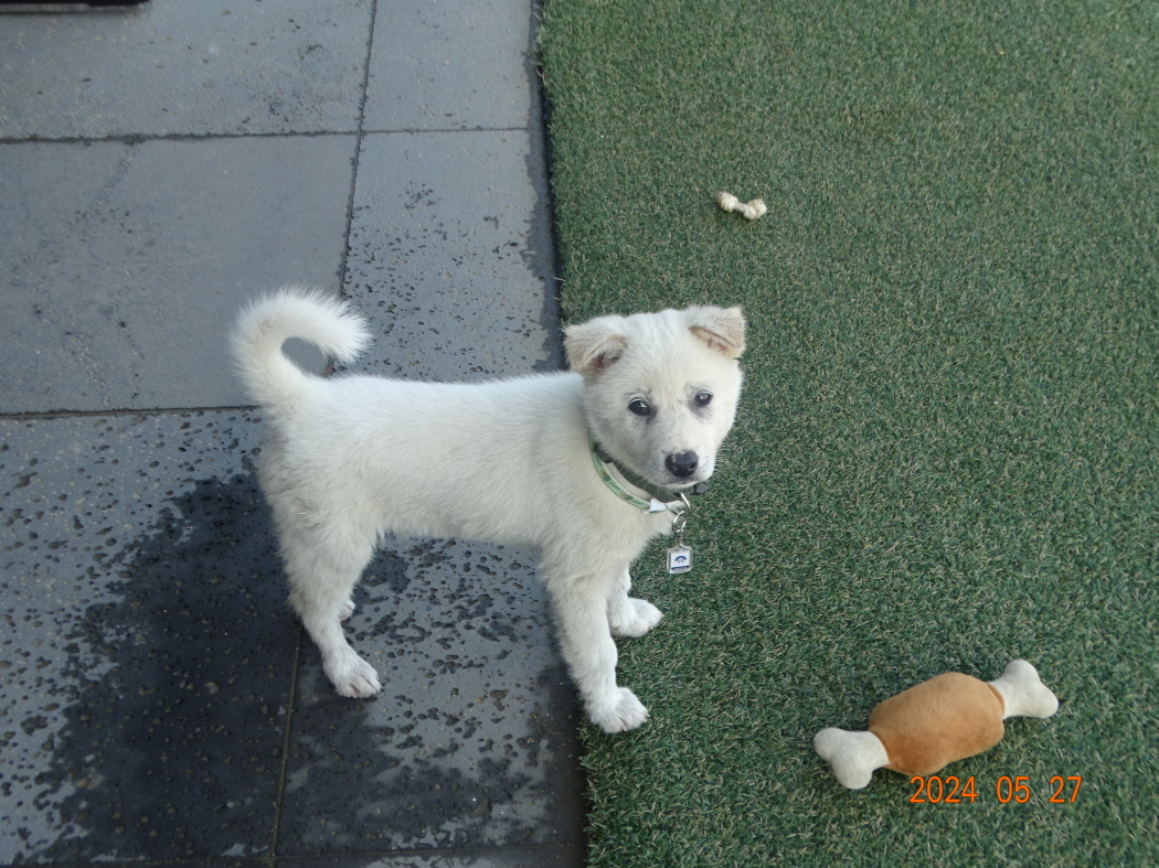 DSC01716.JPG