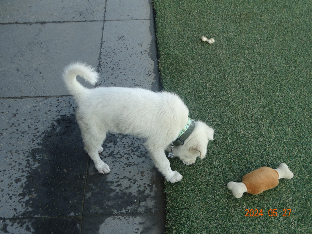 DSC01715.JPG
