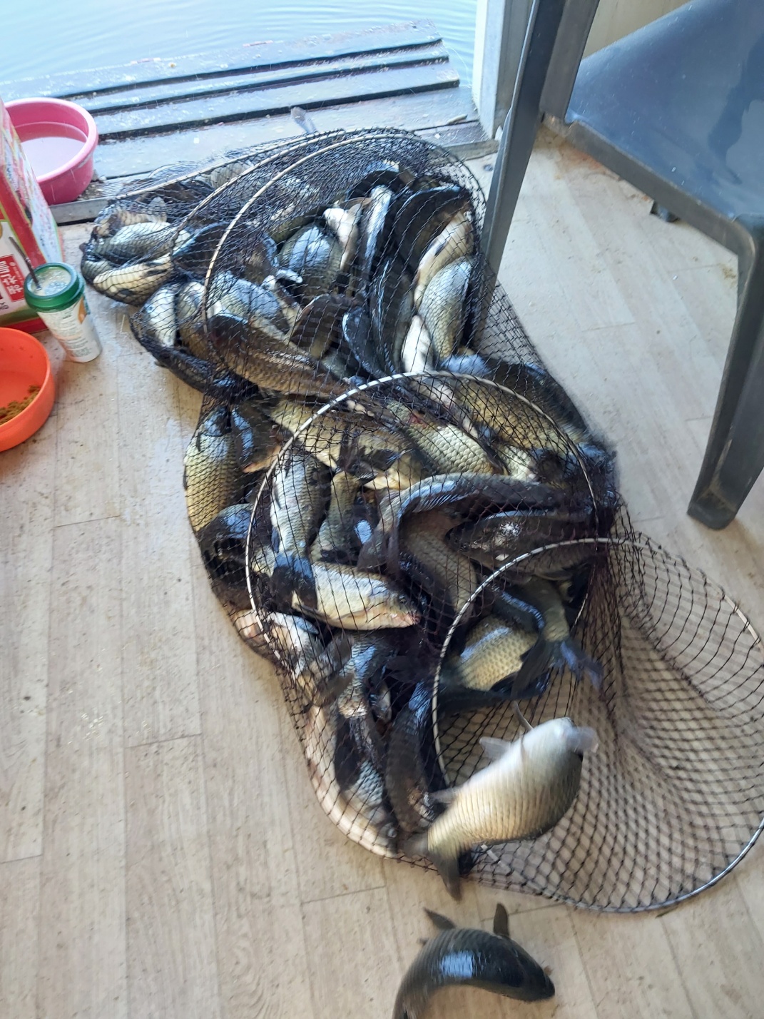 KakaoTalk_20240527_084357523_04.jpg