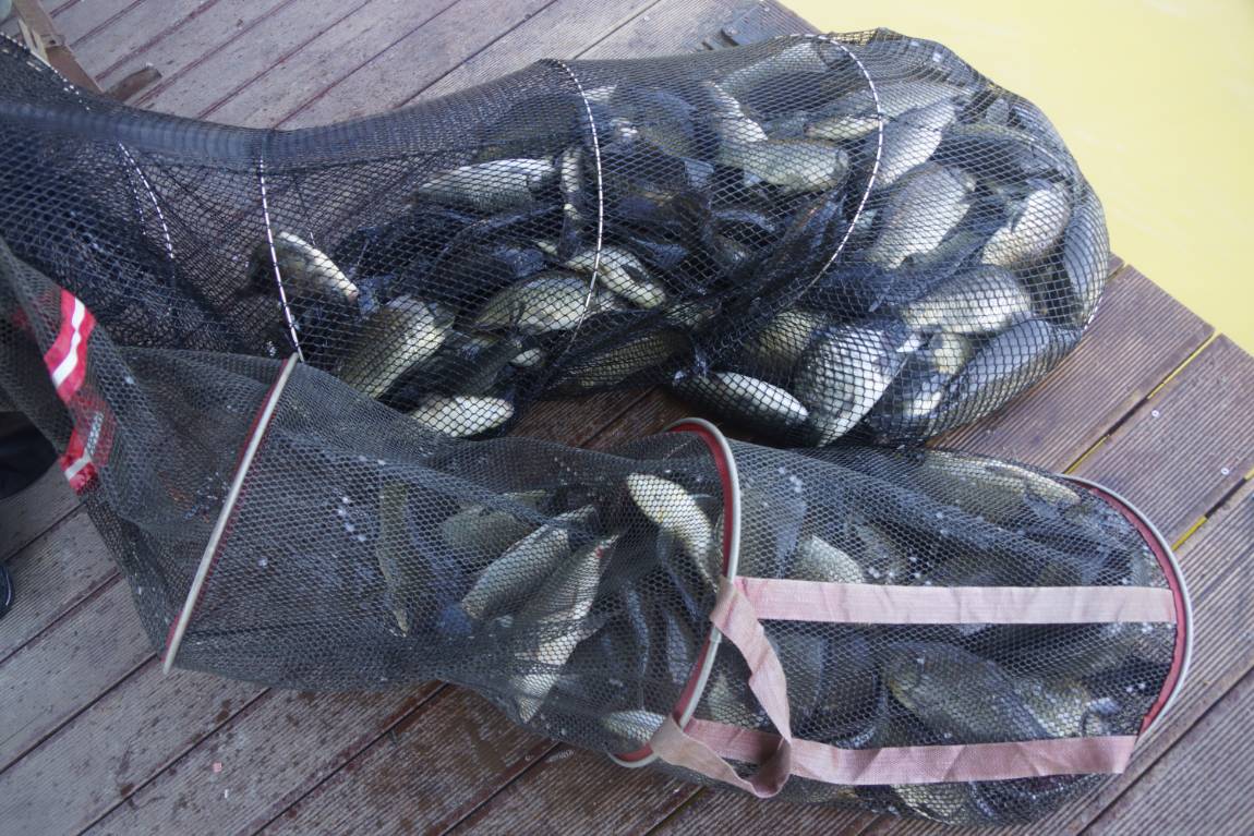 DSC05396.JPG