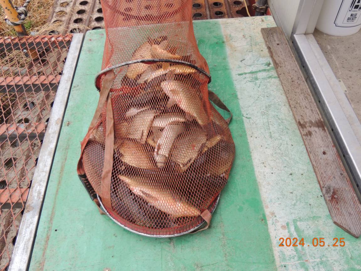 DSCN3235.JPG