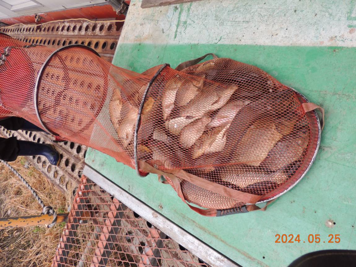 DSCN3236.JPG