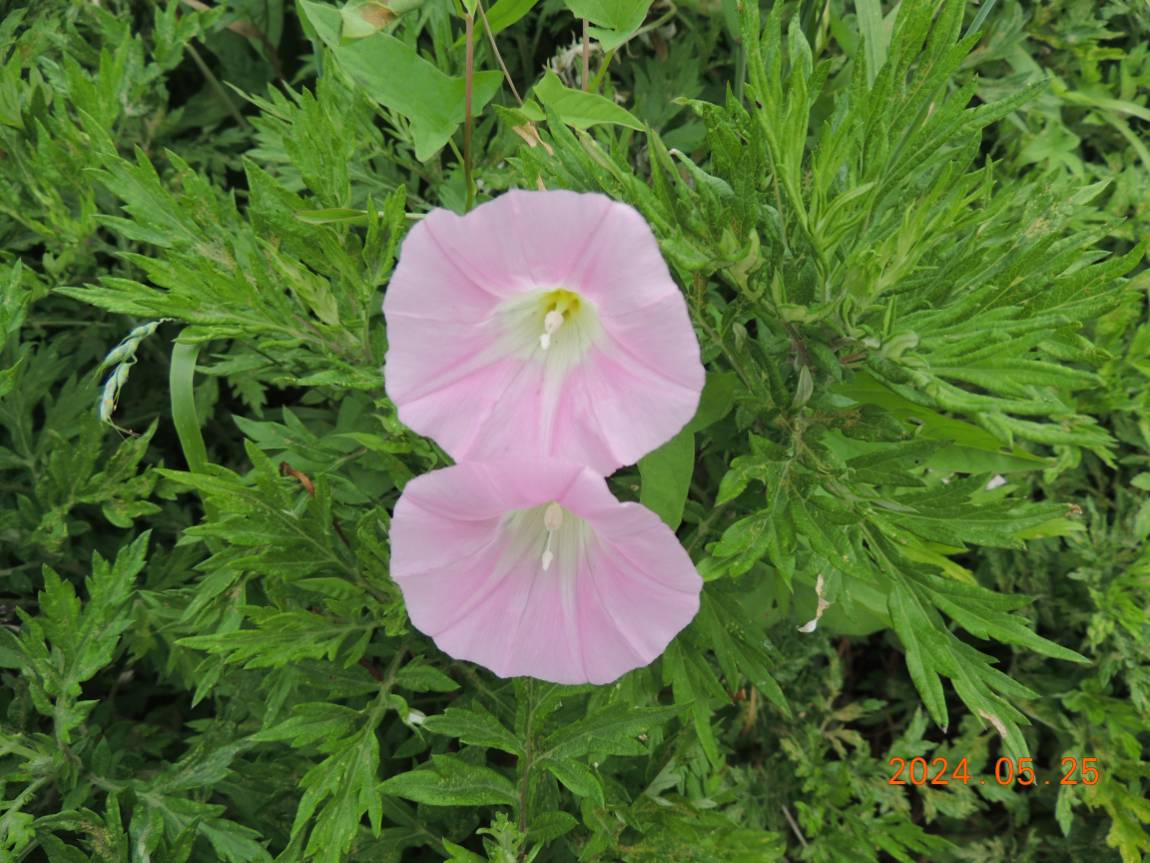 DSCN3258.JPG