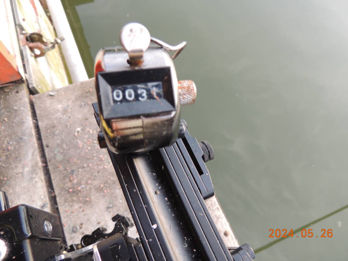 DSCN3339.JPG