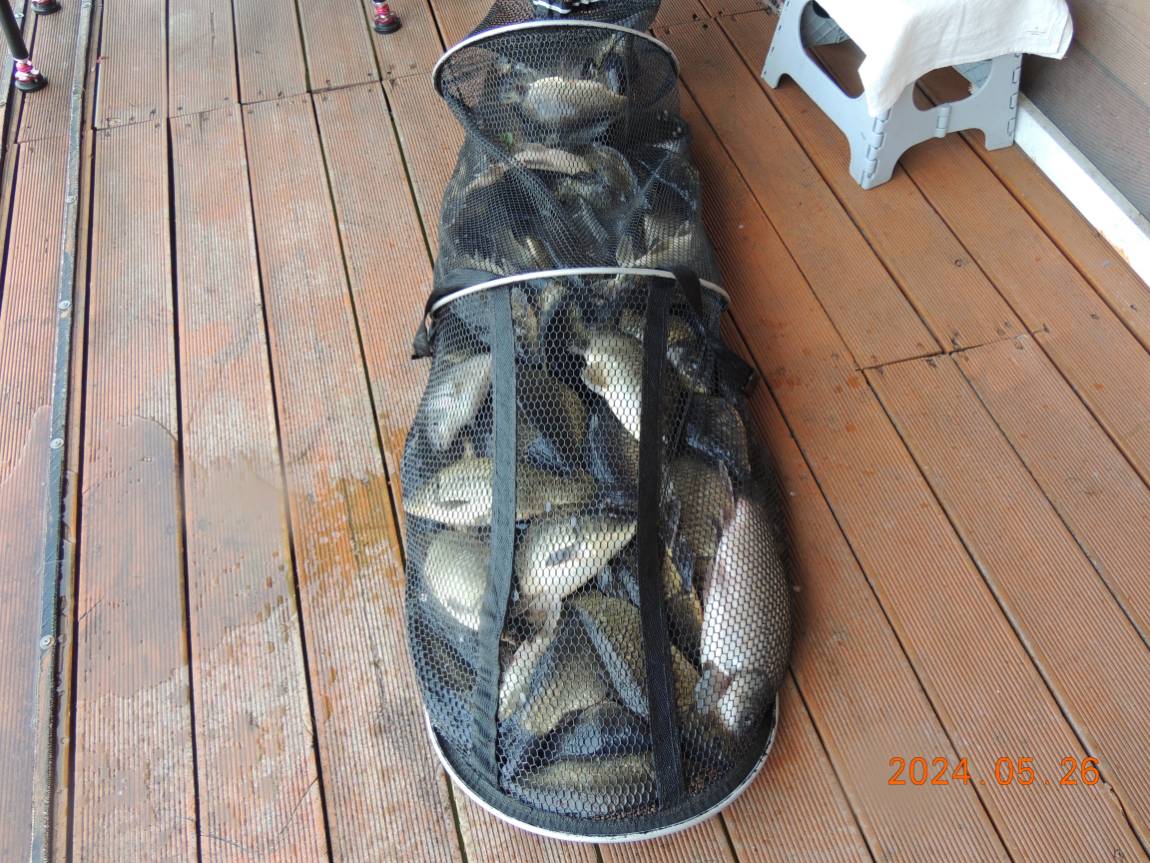 DSCN3356.JPG