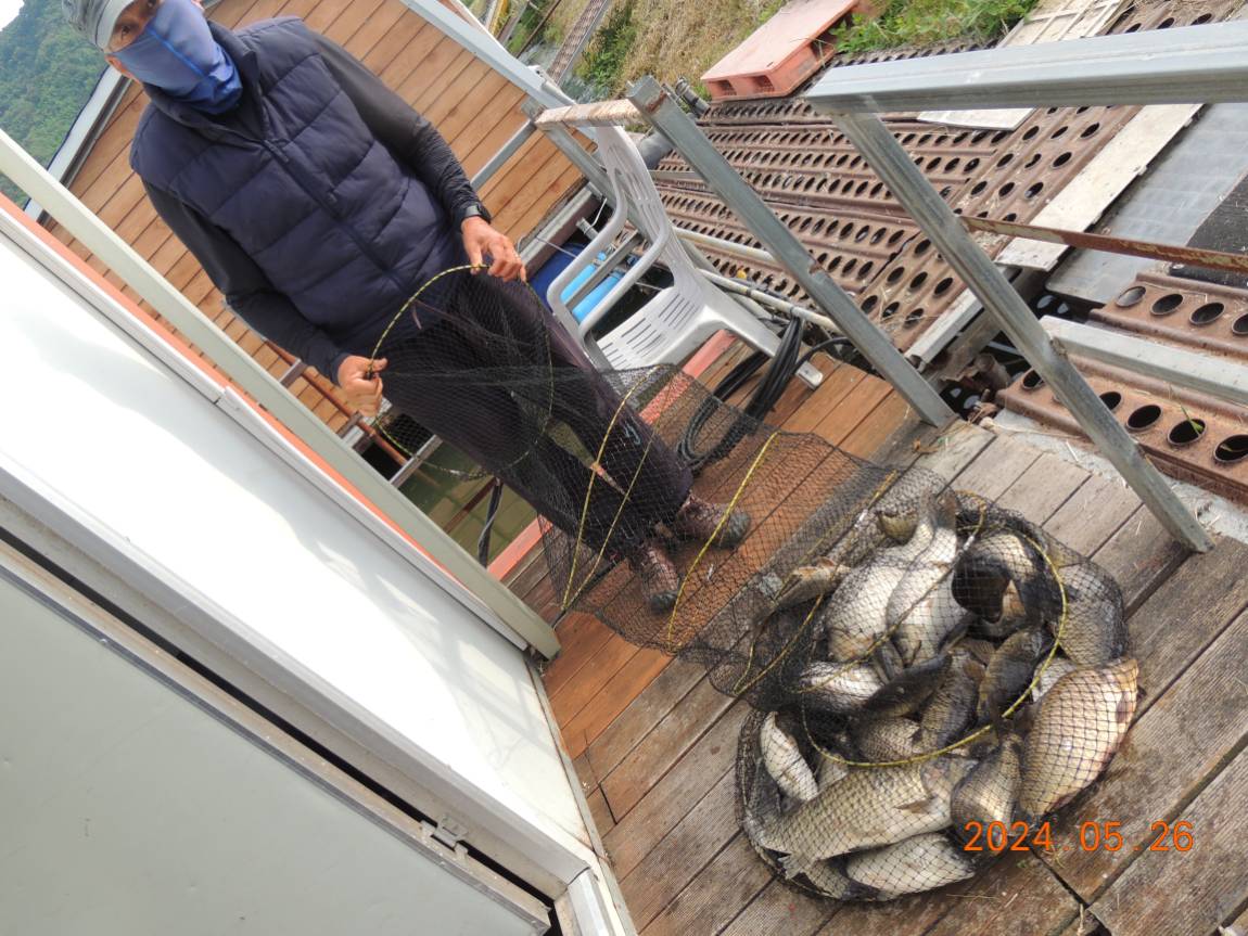 DSCN3368.JPG