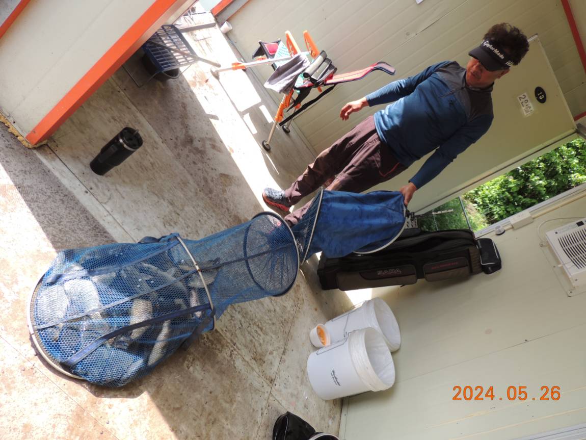DSCN3379.JPG