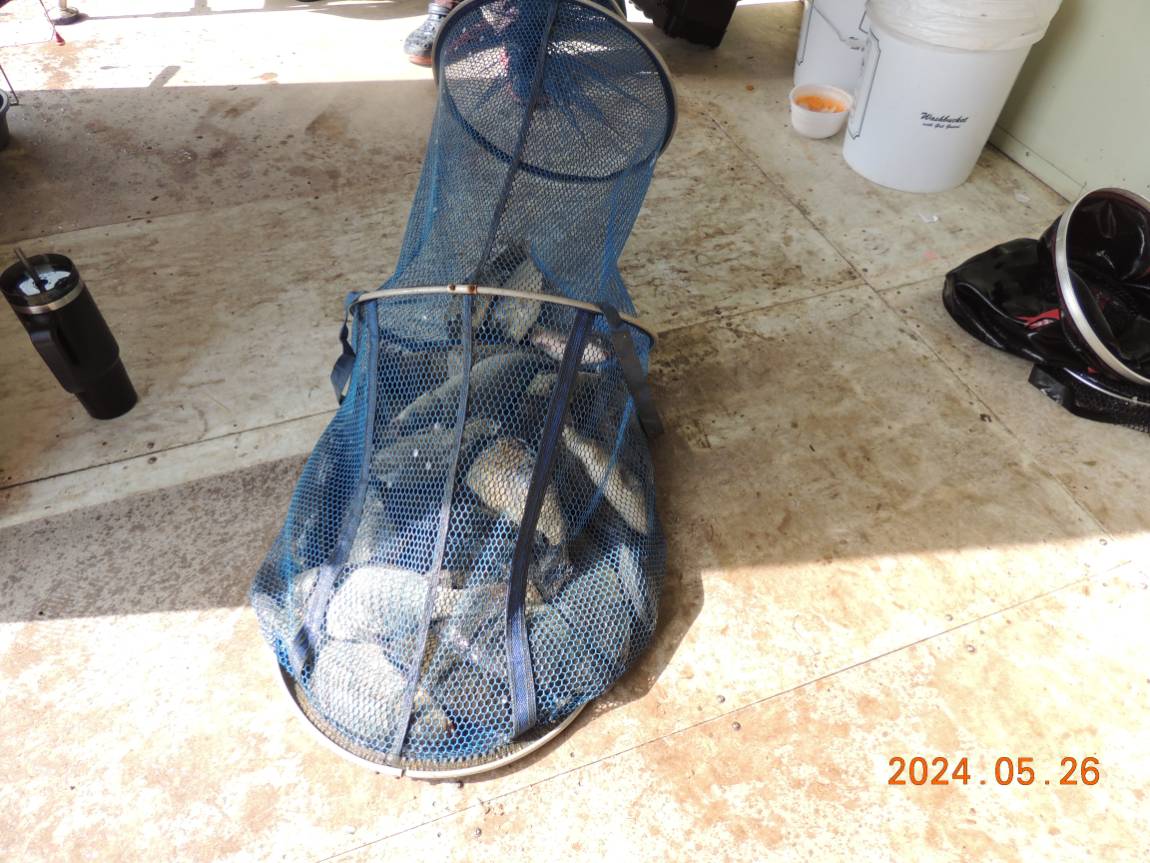 DSCN3380.JPG