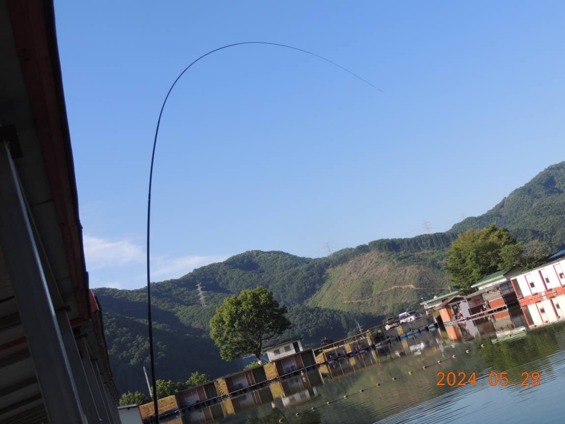 DSCN3395.JPG
