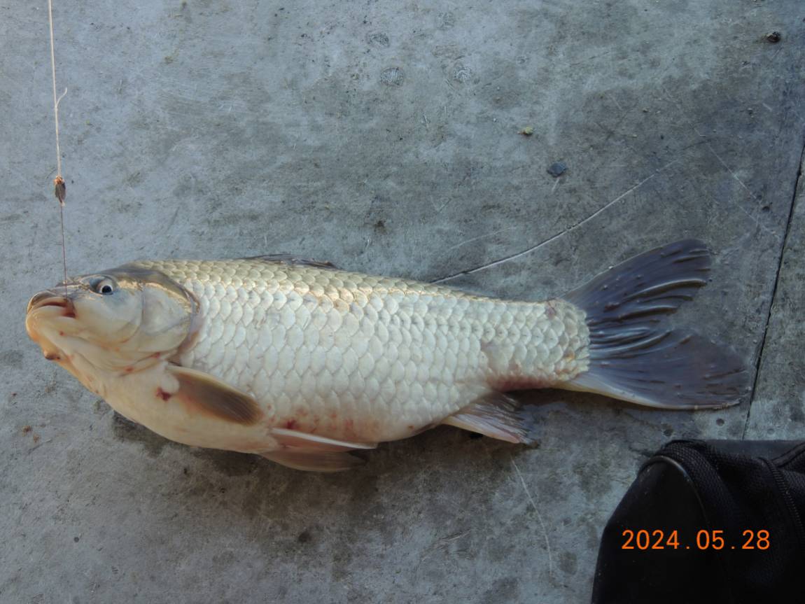 DSCN3397.JPG