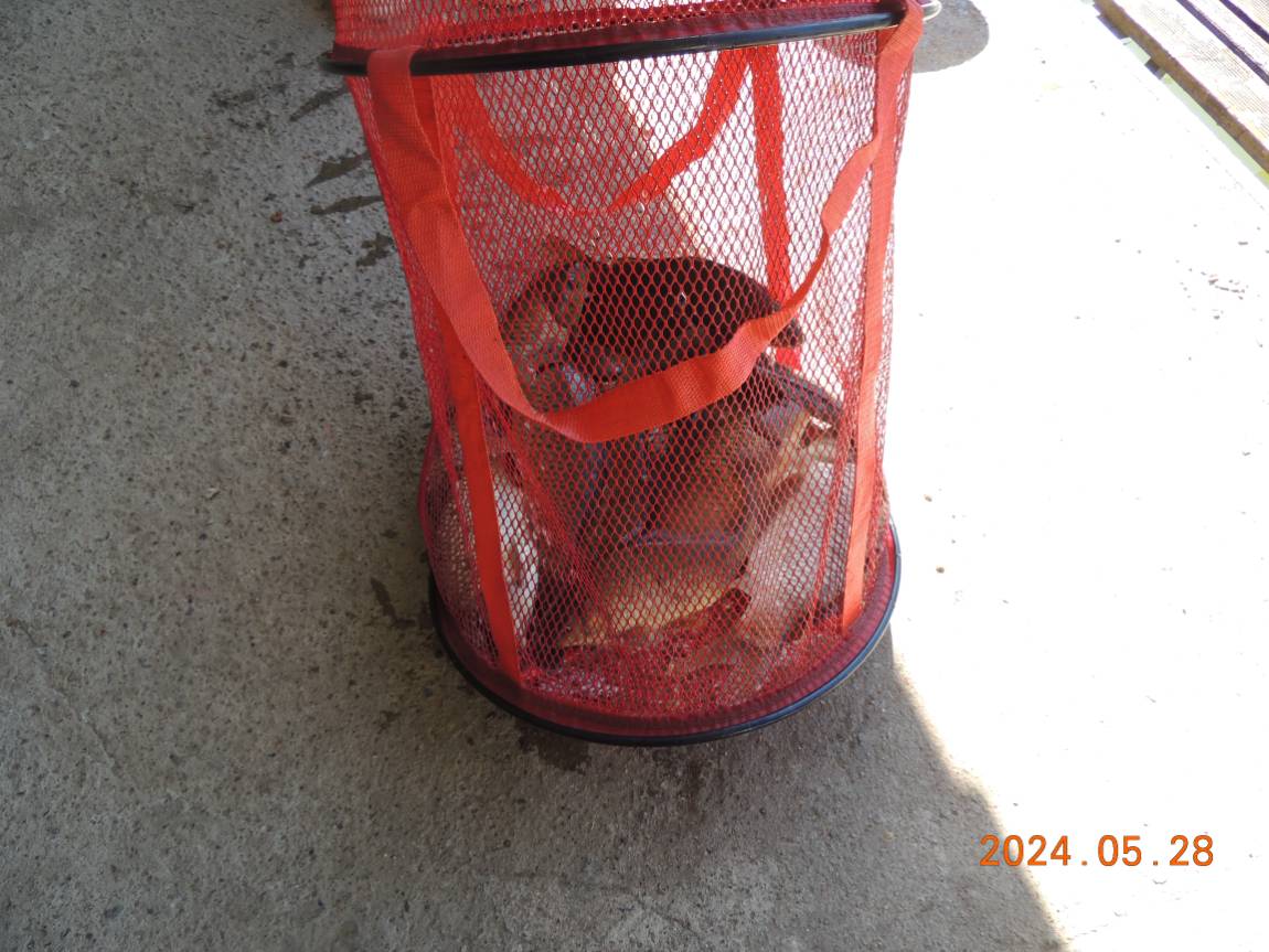 DSCN3406.JPG