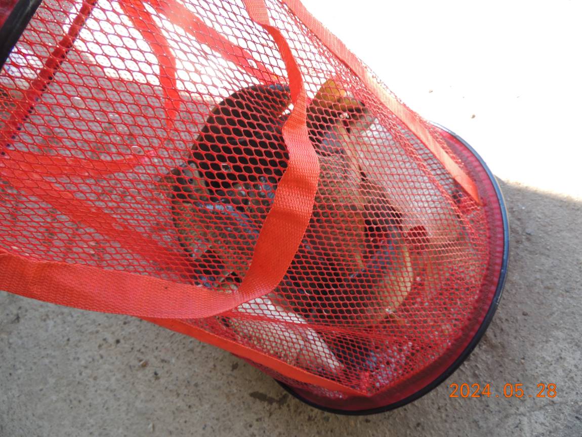 DSCN3407.JPG