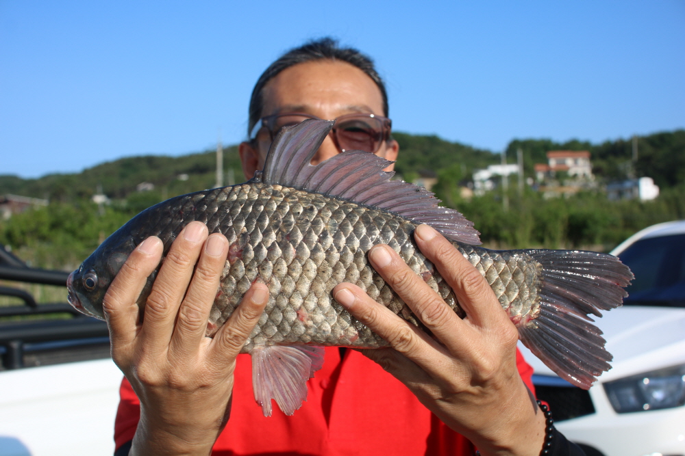 [크기변환]IMG_3090.JPG