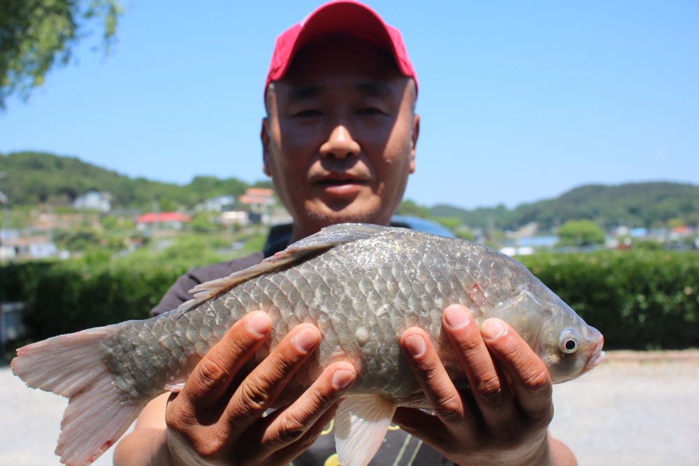 [크기변환]IMG_3077.JPG