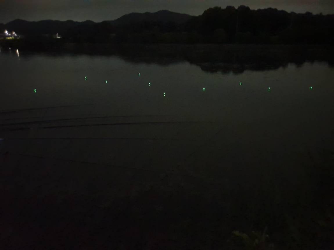 20240530_205214.jpg
