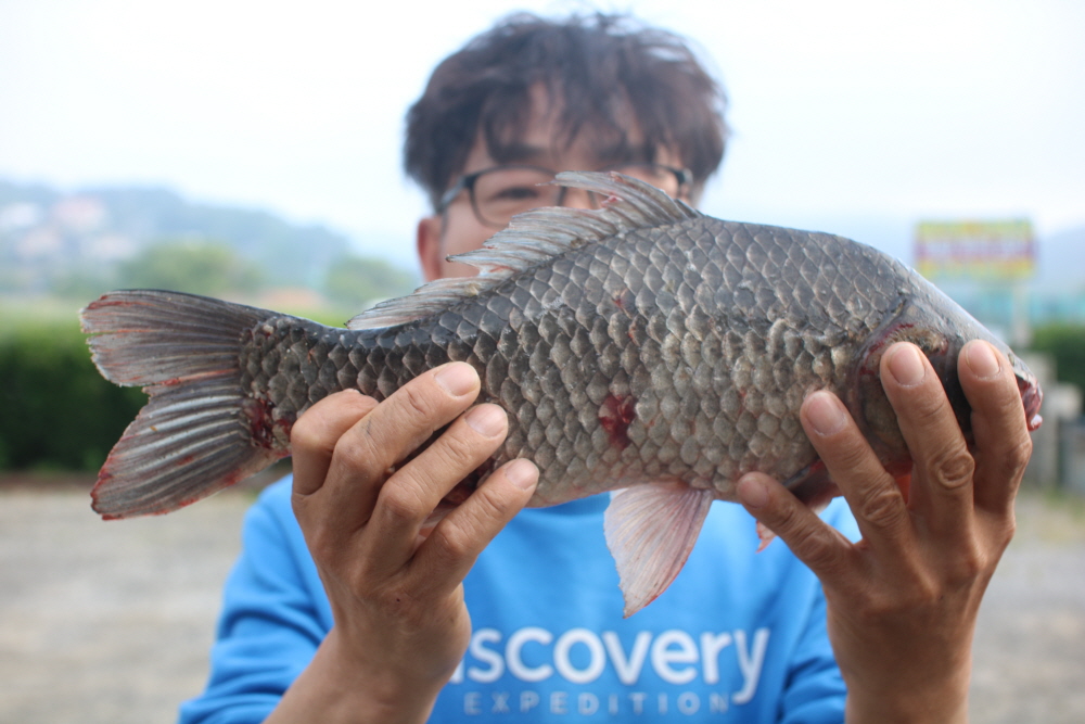 [크기변환]IMG_3156.JPG