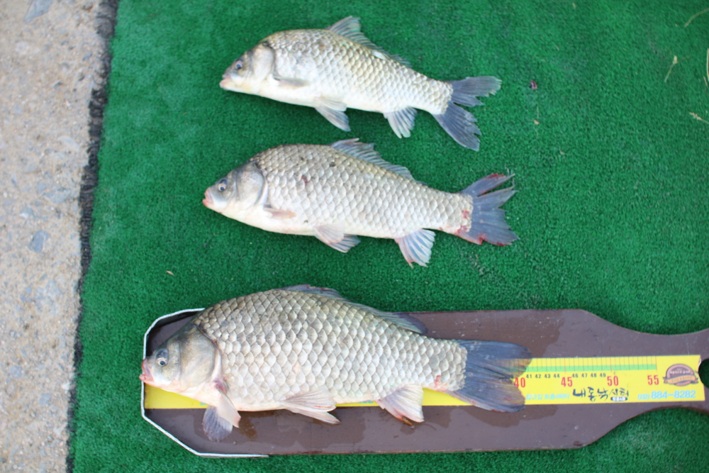[ũ⺯ȯ]IMG_3308.JPG