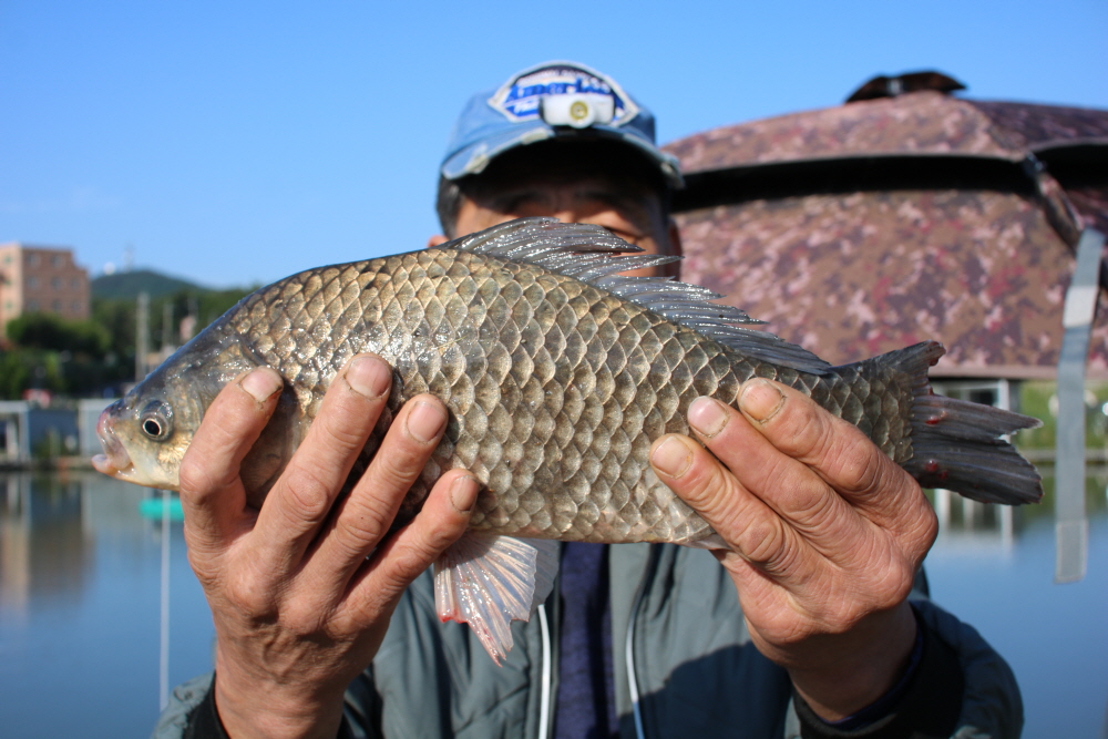 [ũ⺯ȯ]IMG_3316.JPG