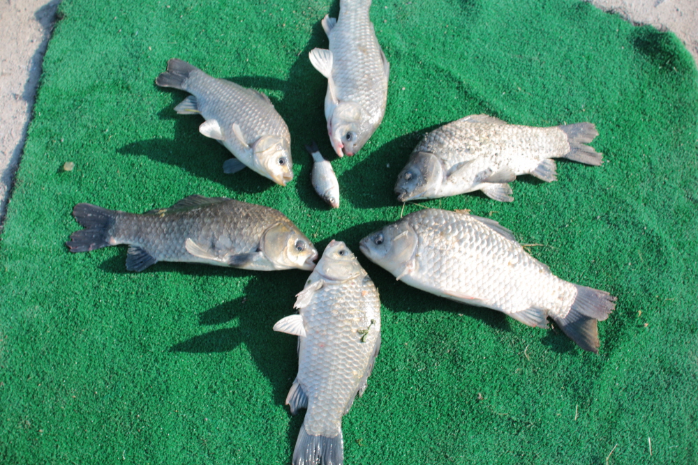 [ũ⺯ȯ]IMG_3285.JPG
