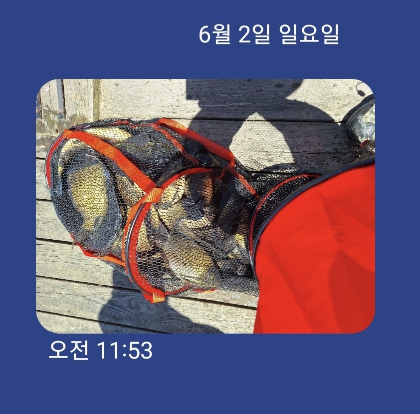 KakaoTalk_20240603_093632979.jpg