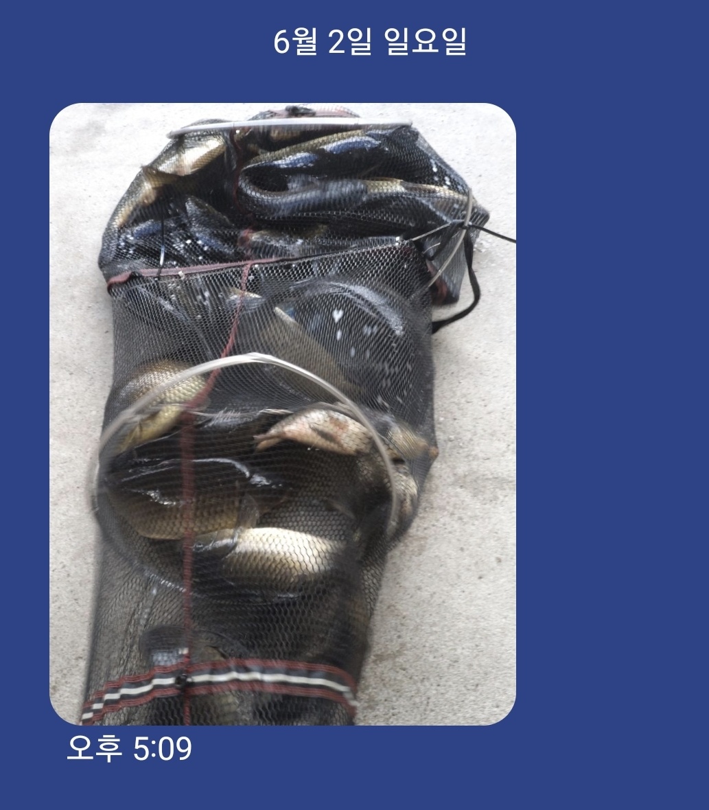 KakaoTalk_20240603_093454448.jpg