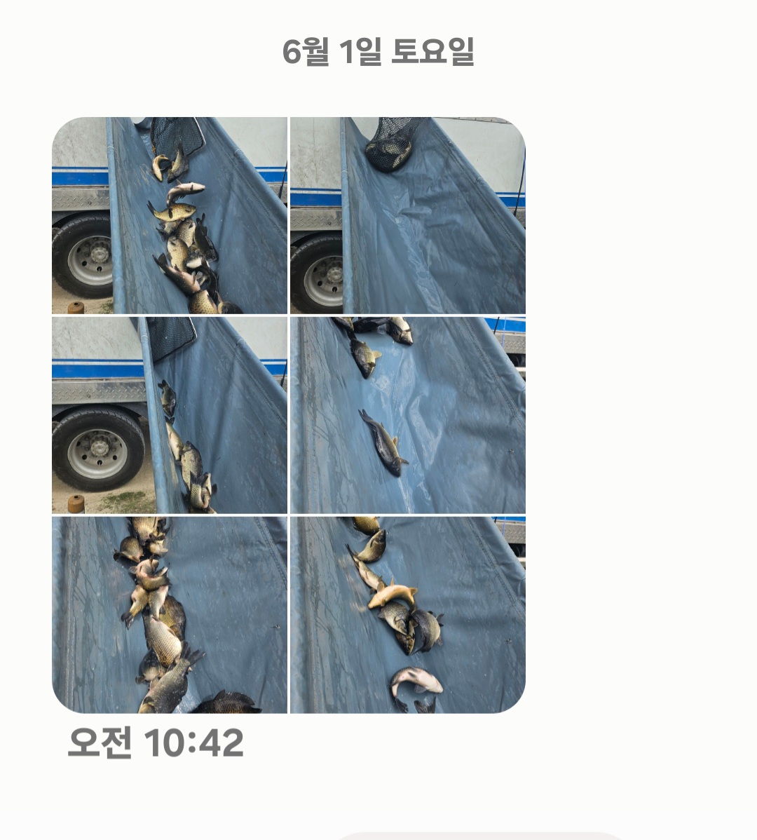 Screenshot_20240601_104853_Messages.jpg