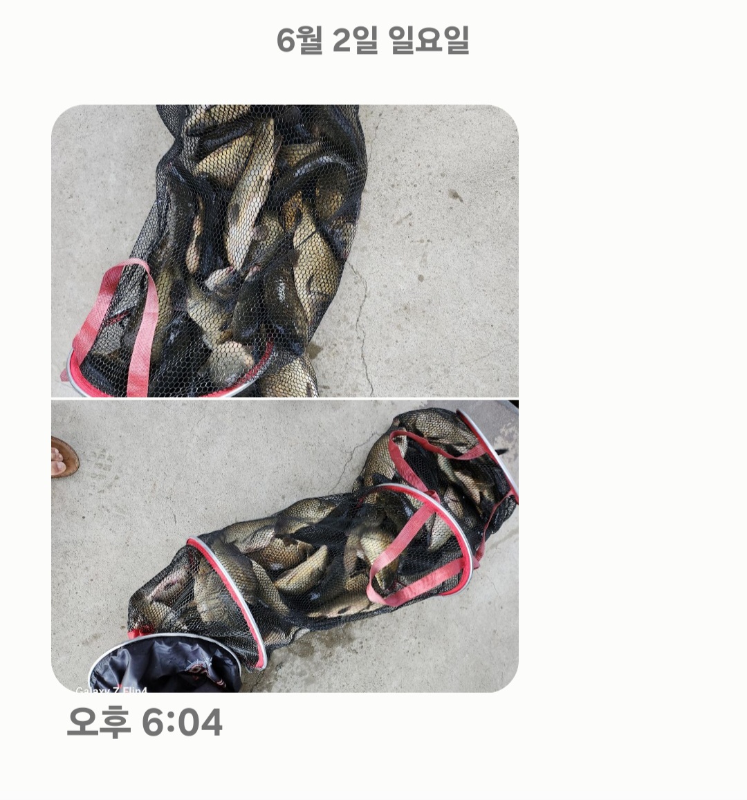 Screenshot_20240602_193310_Messages.jpg
