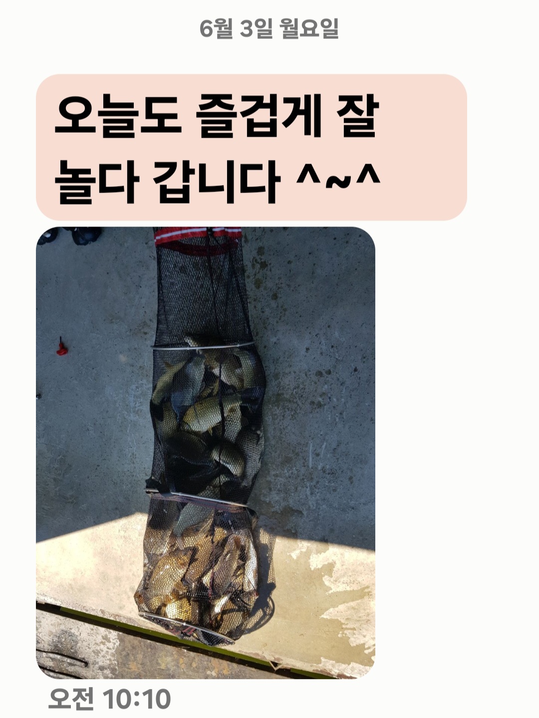 Screenshot_20240603_101319_Messages.jpg