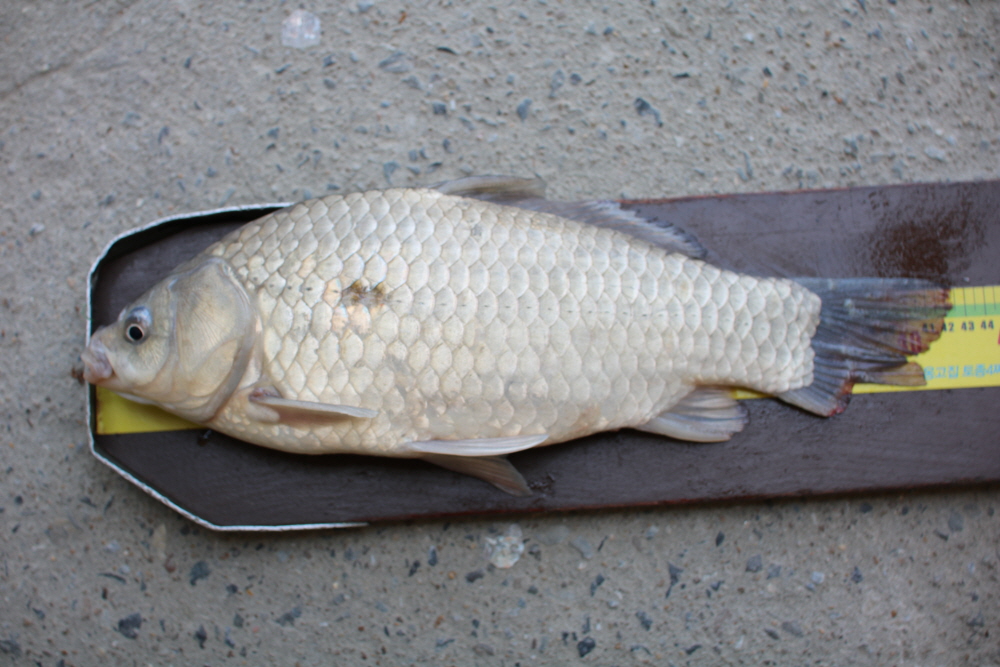 [ũ⺯ȯ]IMG_3334.JPG