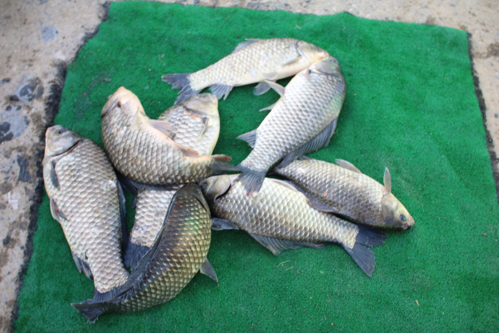 [ũ⺯ȯ]IMG_3364.JPG