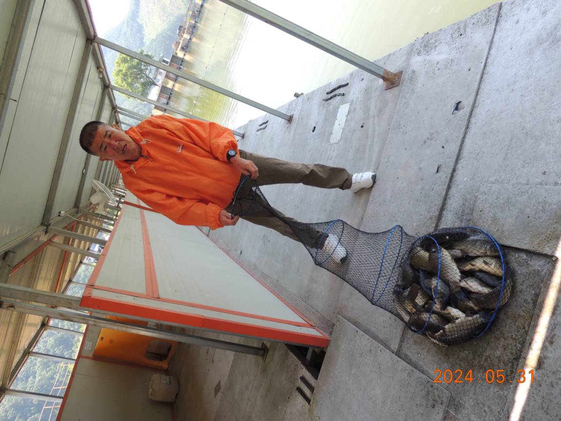 DSCN3515.JPG