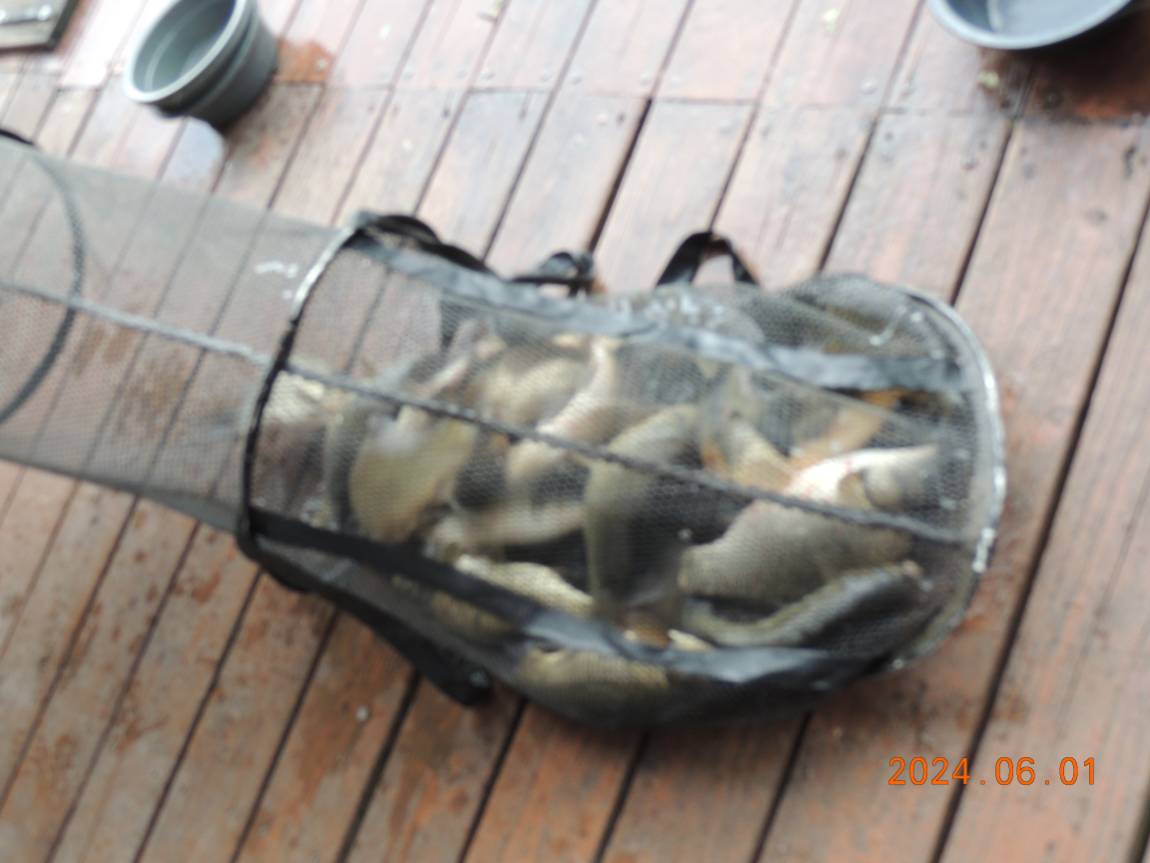 DSCN3520.JPG