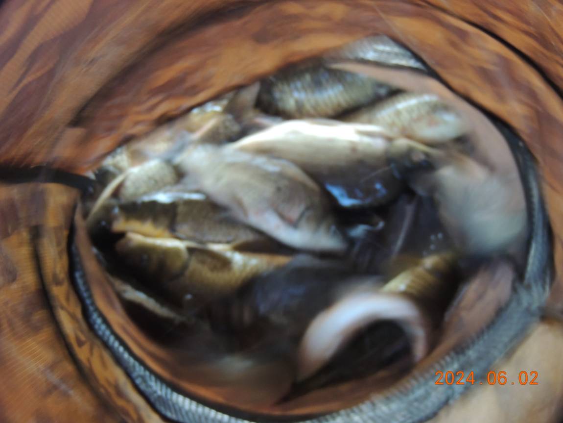 DSCN3582.JPG