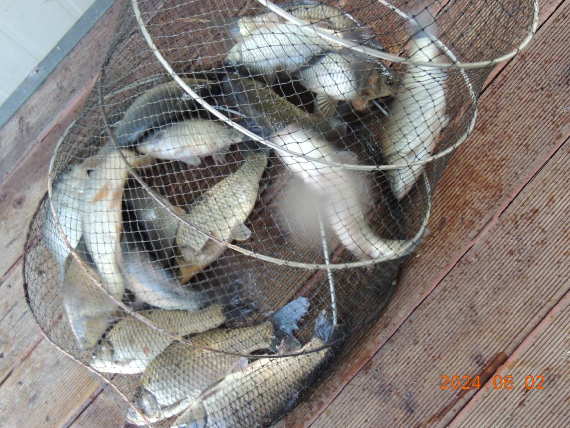 DSCN3588.JPG