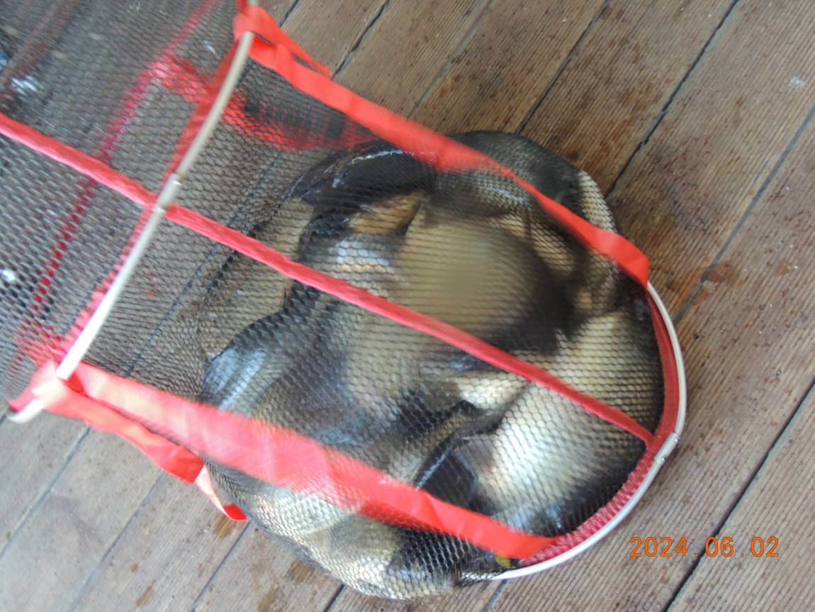 DSCN3590.JPG