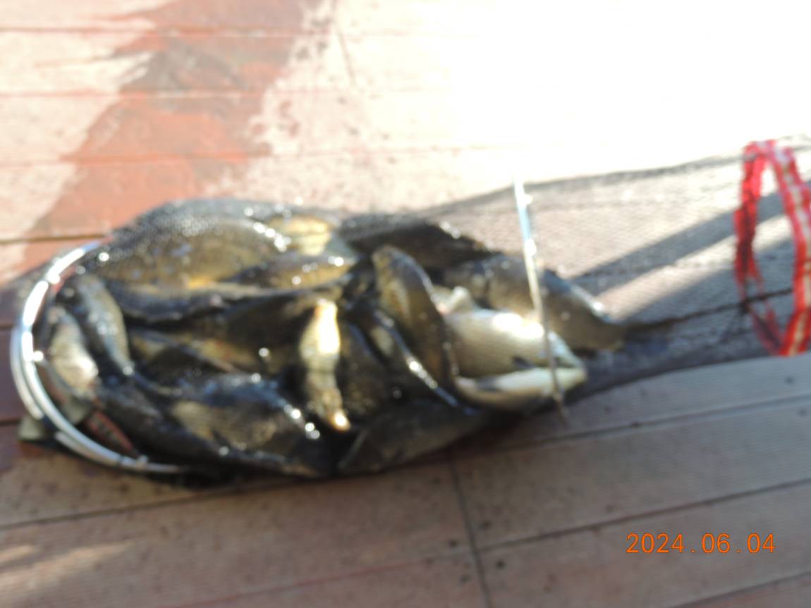 DSCN3755.JPG