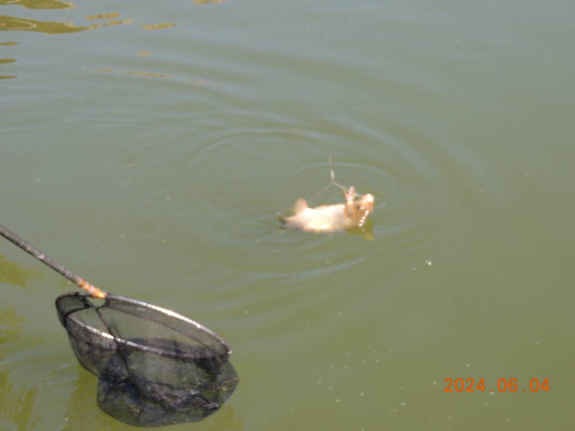 DSCN3761.JPG