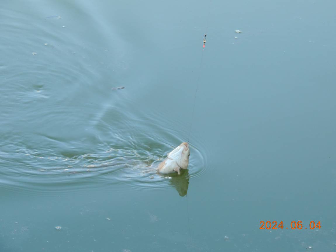 DSCN3764.JPG