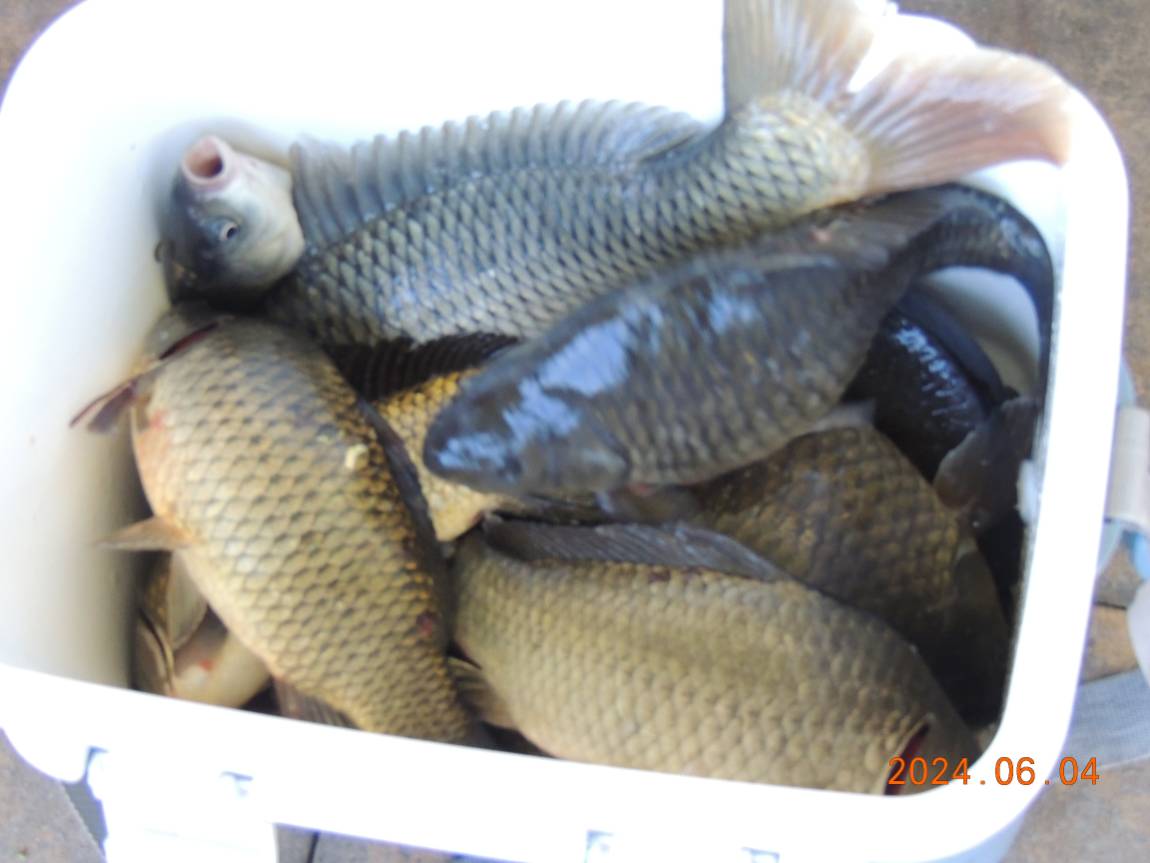 DSCN3770.JPG