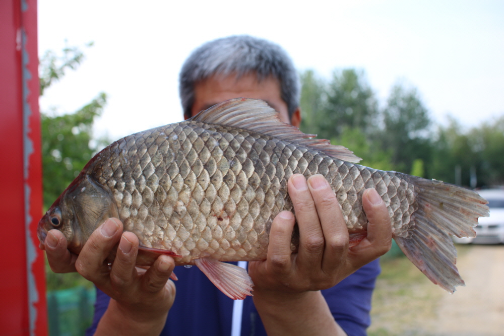 [ũ⺯ȯ]IMG_3439.JPG