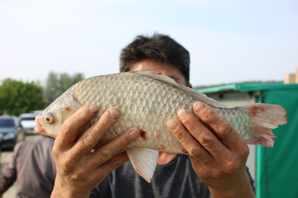 [ũ⺯ȯ]IMG_3431.JPG