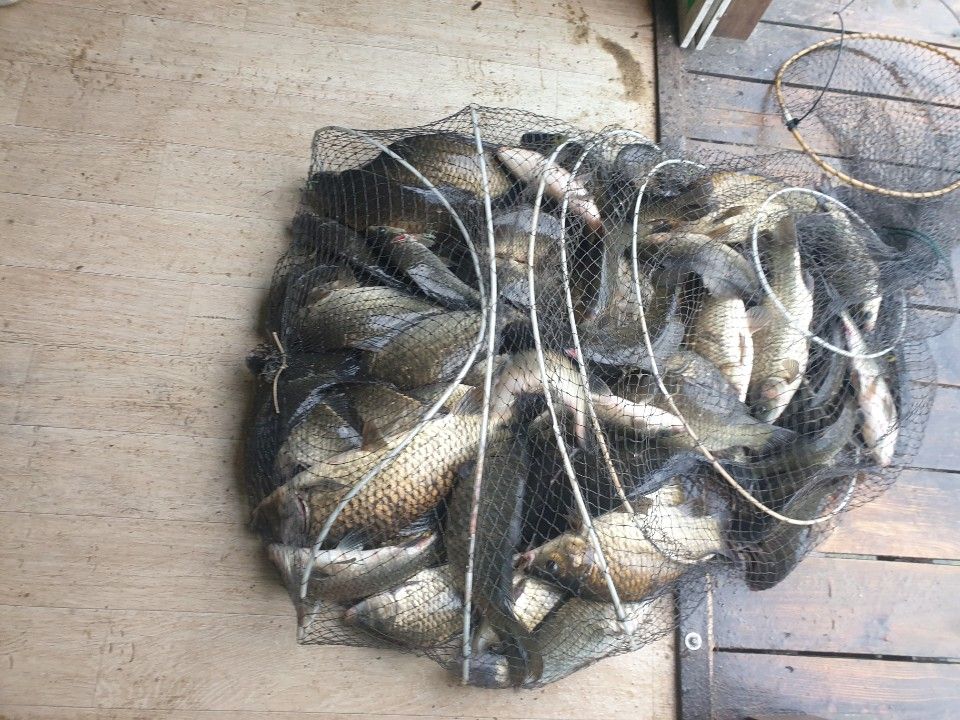 1717712067107.jpg